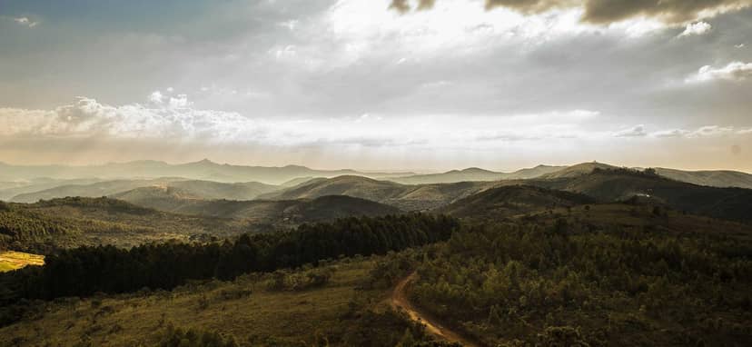 Unauth title ROtfiSjI